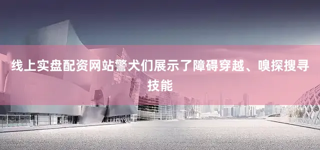 线上实盘配资网站警犬们展示了障碍穿越、嗅探搜寻技能
